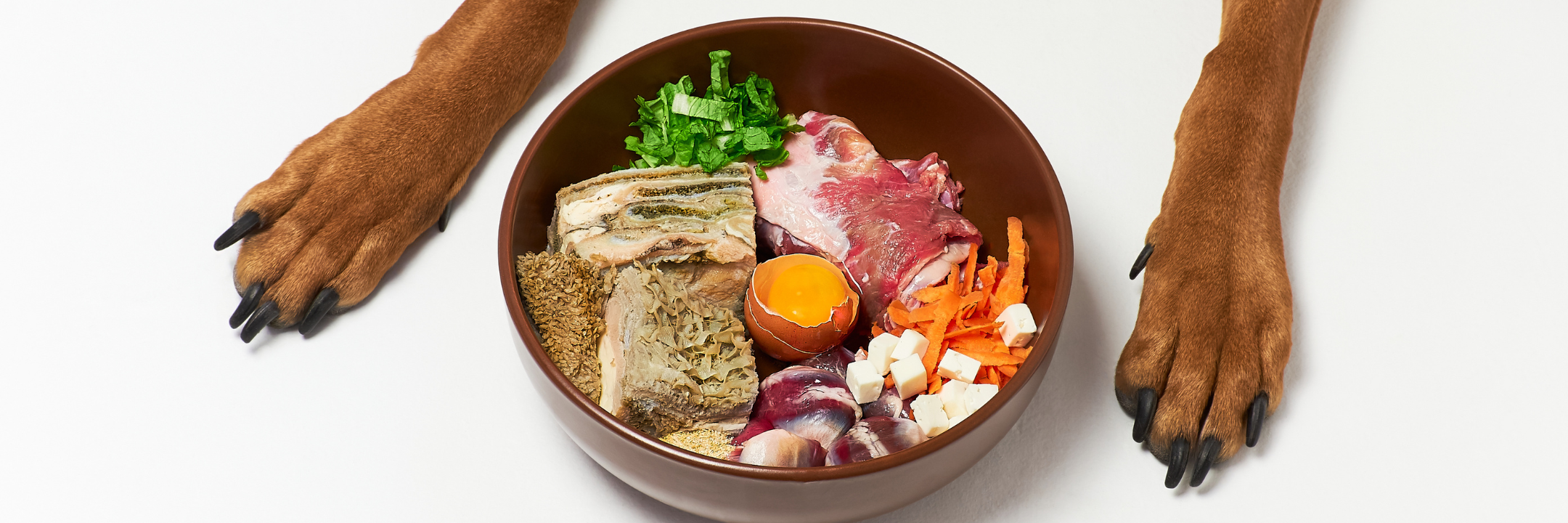Ist Barf wirklich gut für den Hund?