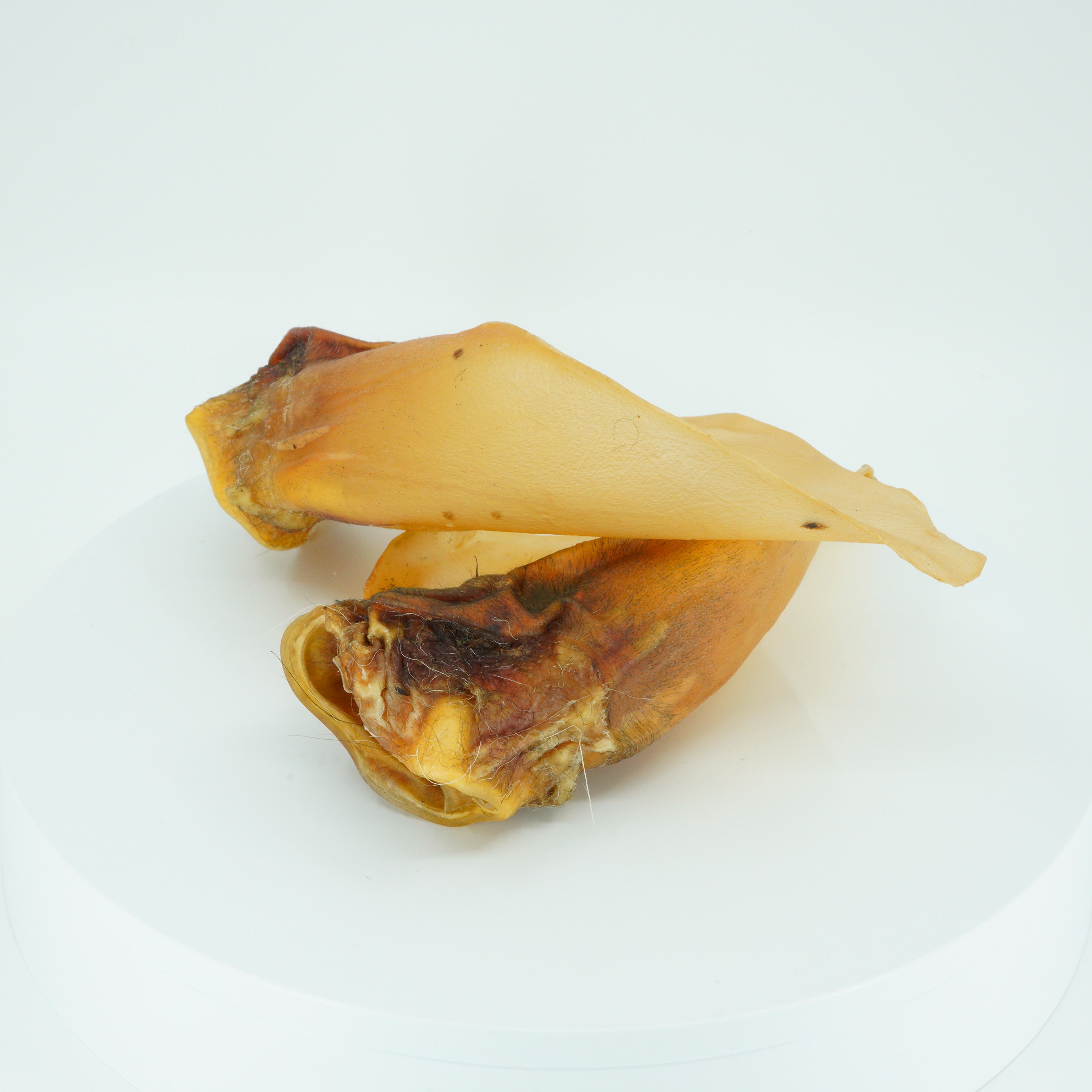 Rinderohren mit Muschel - Hundesnack