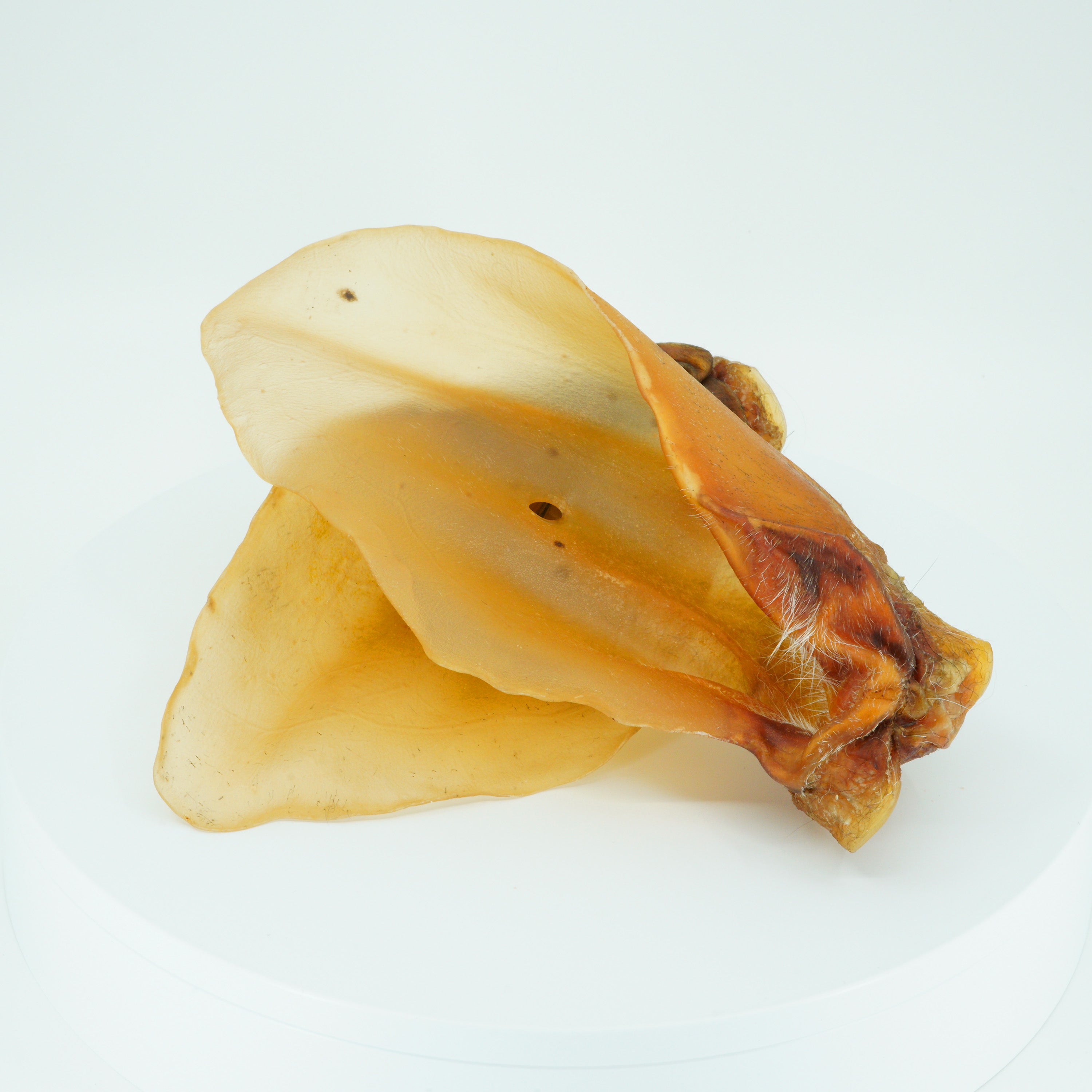 Rinderohren mit Muschel - Hundesnack