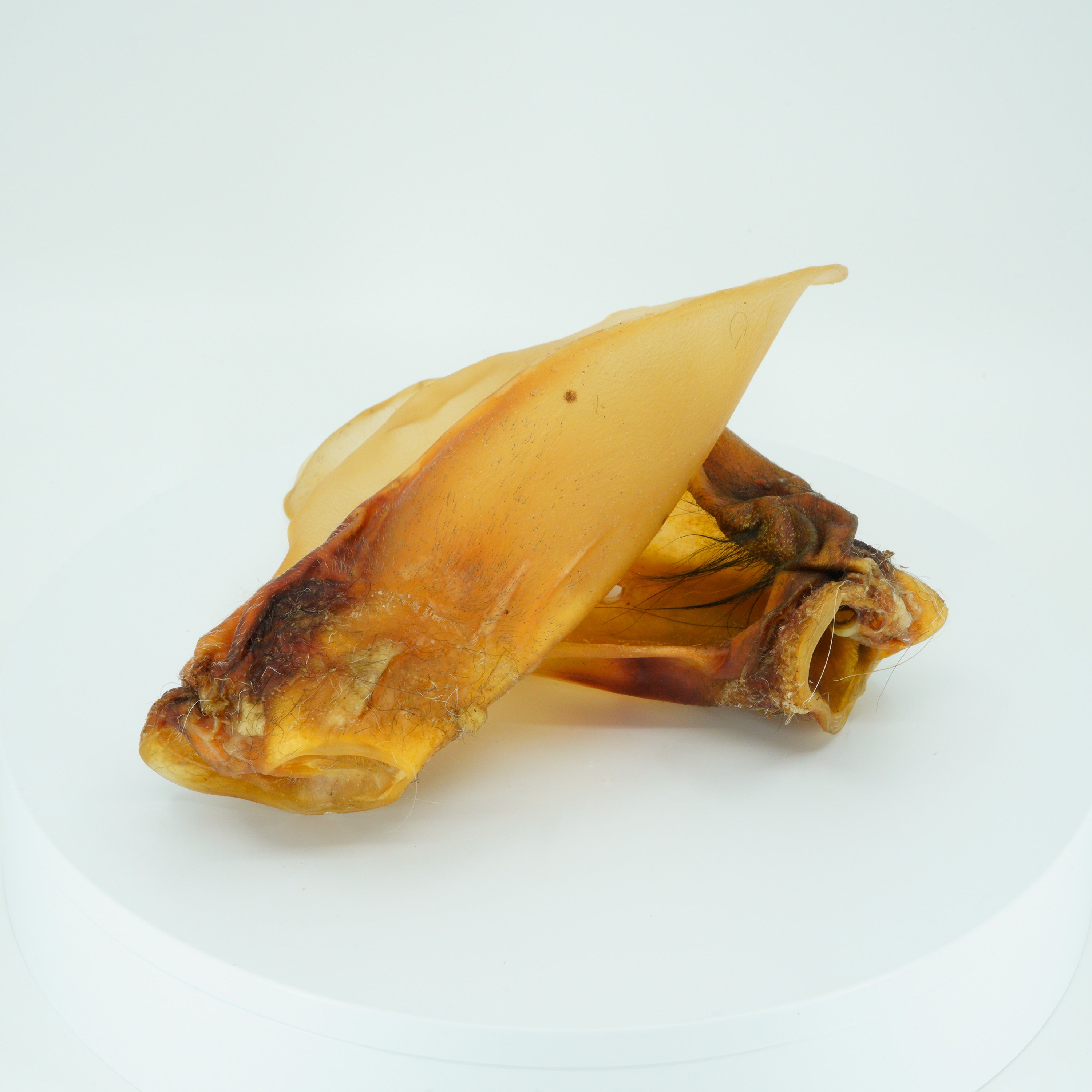 Rinderohren mit Muschel - Hundesnack